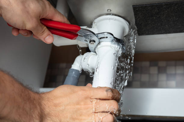 Best Mold removal after water damage  in Willow Oak, FL