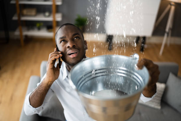 Best Water damage contractors near me  in Willow Oak, FL