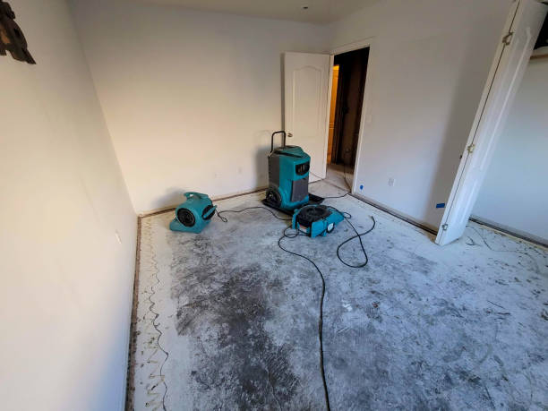 Best Emergency water damage restoration  in Willow Oak, FL