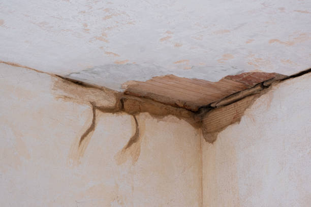 Best 24/7 water damage repair  in Willow Oak, FL
