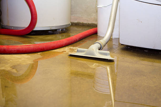 Best Flooded house restoration  in Willow Oak, FL