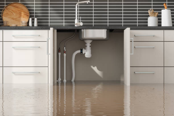 Best 24-hour water damage restoration  in Willow Oak, FL