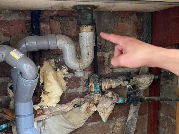 Best Water damage restoration near me  in Willow Oak, FL