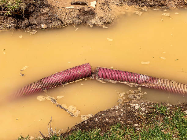  Willow Oak, FL Water damage restoration Pros
