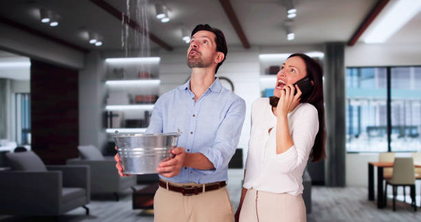 Best Water damage cleanup near me  in Willow Oak, FL