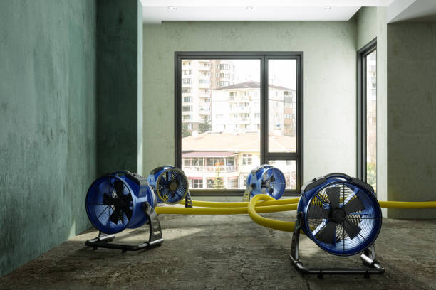 Best Carpet water damage restoration  in Willow Oak, FL
